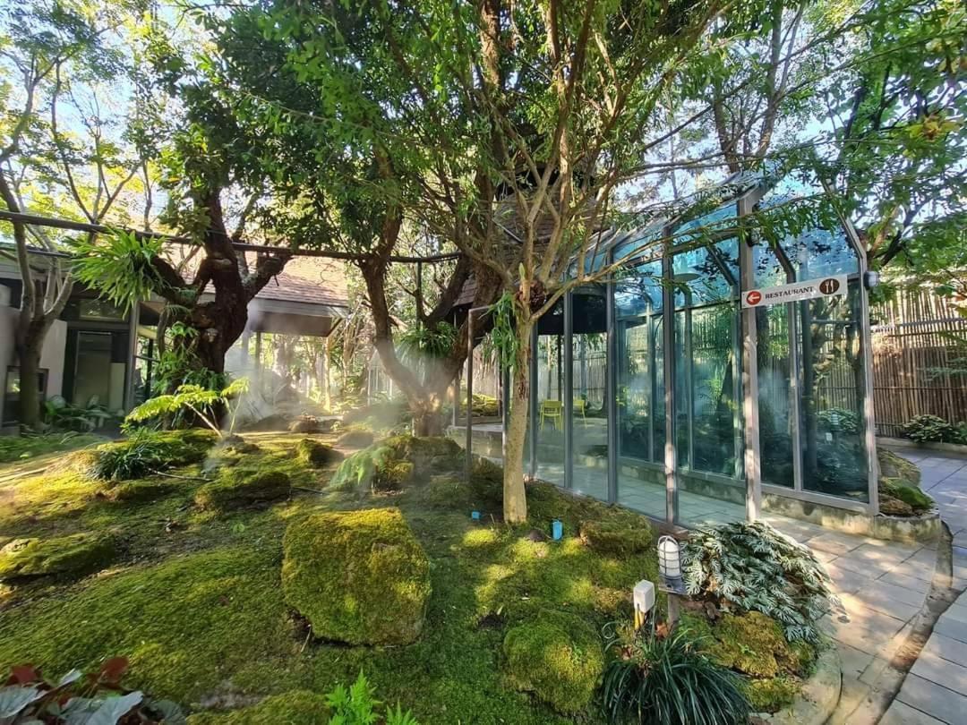 Treescape Resort Chiangmai Чиангмай Екстериор снимка