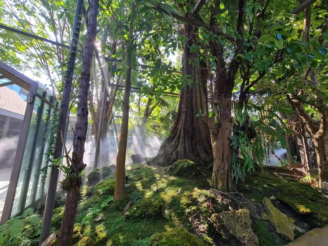 Treescape Resort Chiangmai Чиангмай Екстериор снимка
